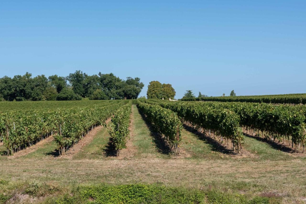 Bed and Breakfast L'Ilot Vignes Rauzan Exterior foto